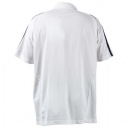 men's polo shirt