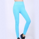 Seamless Legging