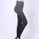 Seamless Legging