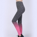 Seamless Legging