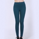 Seamless Legging