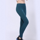 Seamless Legging